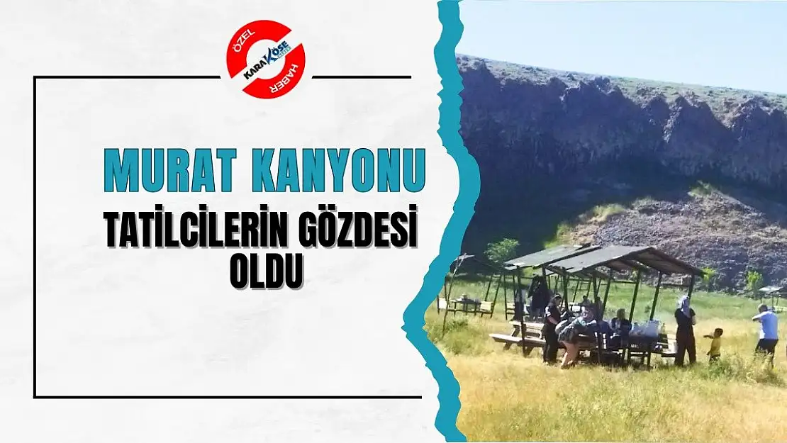 Diyadin Murat Kanyonu doğaseverlerin gözdesi