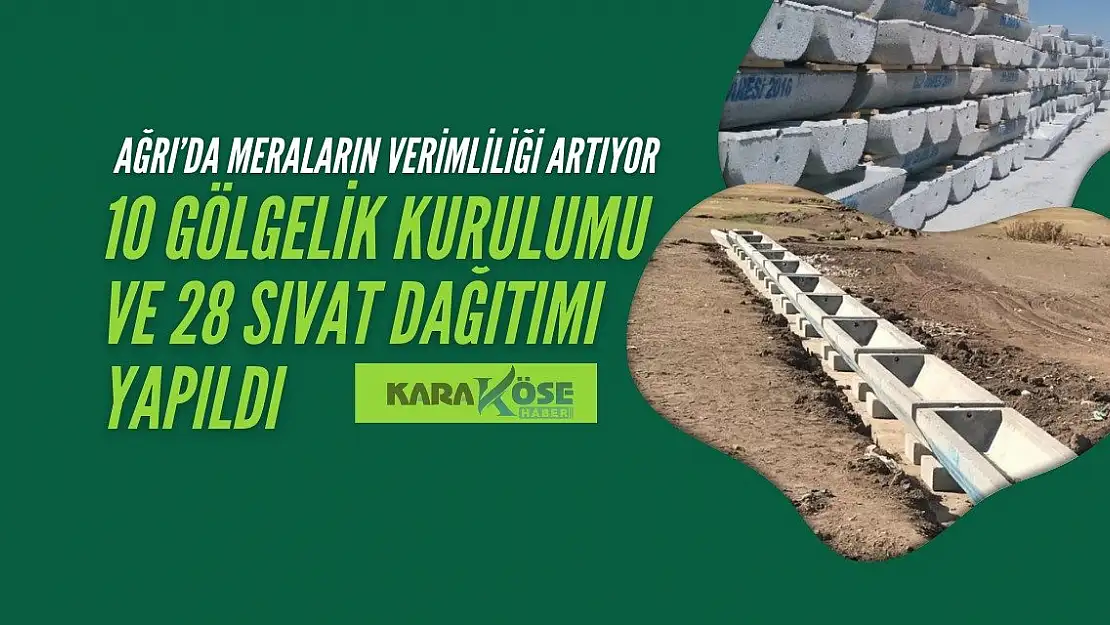 Ağrı'da Meraların Verimliliği Artıyor