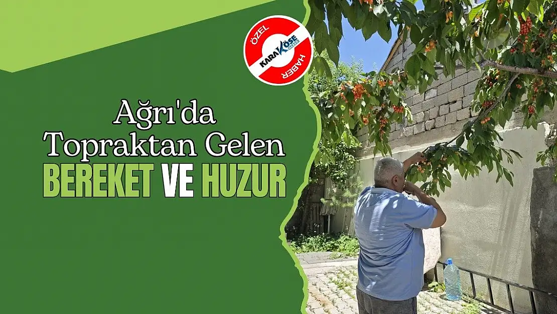 Ağrı'da Topraktan Gelen Bereket ve Huzur