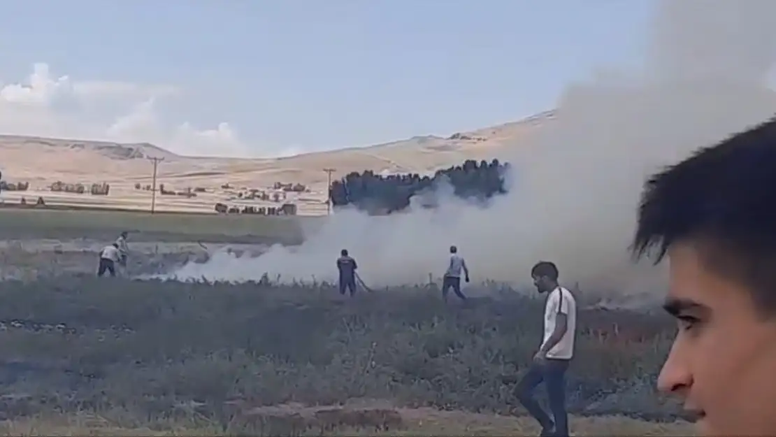 Bir yangın haberi de Ağrı'dan: Buğday tarlası küle döndü
