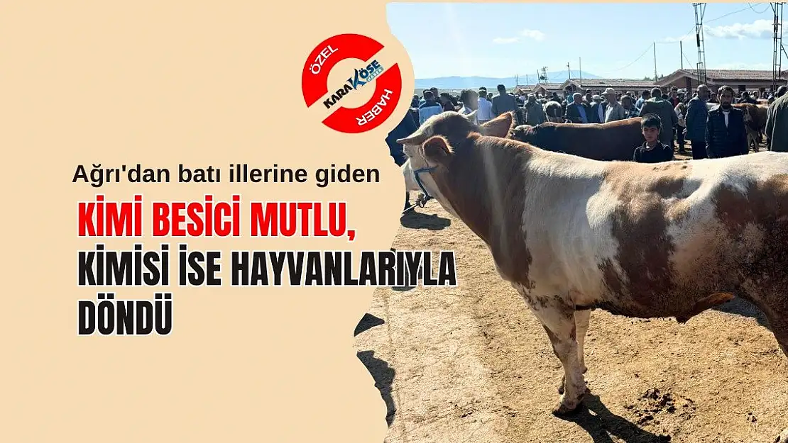 Ağrılı Besiciler Büyükşehirlerden Geri Döndü