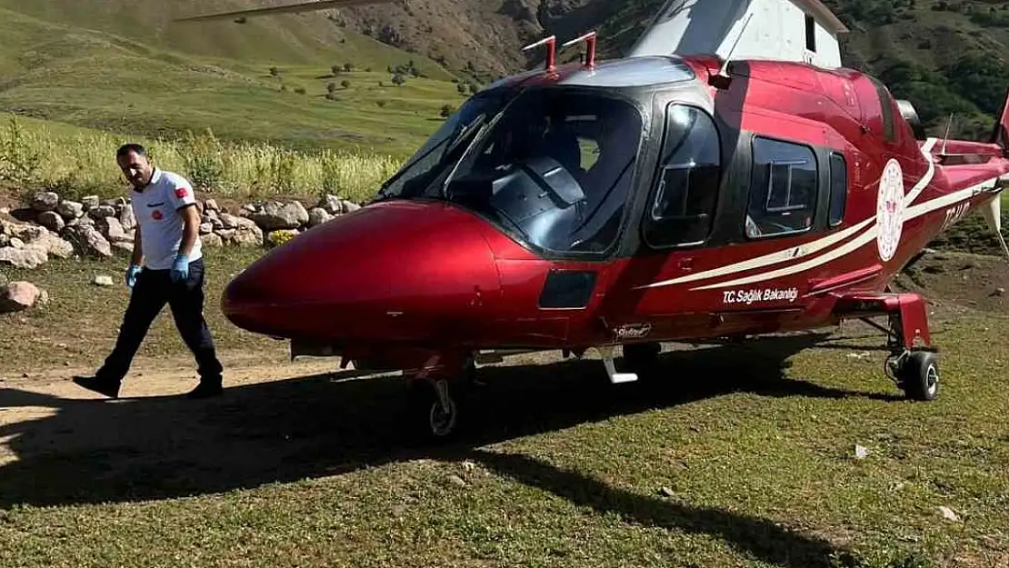Arı sokması sonucu bilinç kaybı yaşayan hasta, ambulans helikopterle Erzurum'a sevk edildi