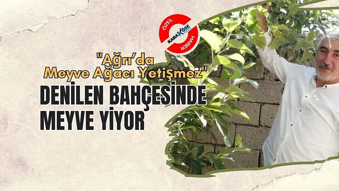 'Ağrı'da Meyve Ağacı Yetişmez' denilen bahçesinde meyve yiyor