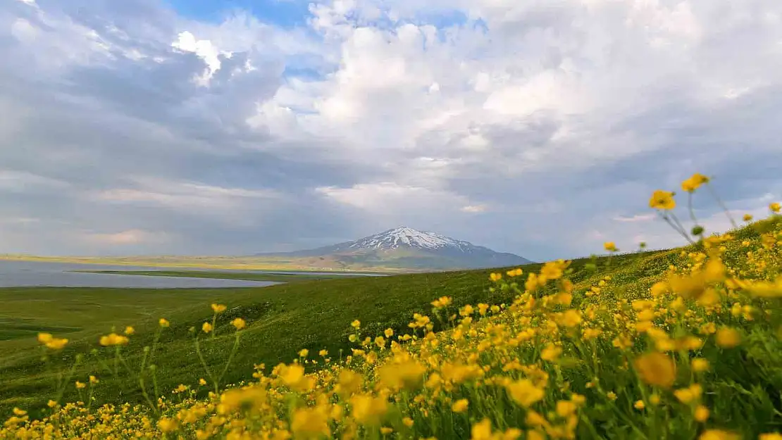 Sütey Yaylası ve Süphan Dağı'nın manzarası büyülüyor