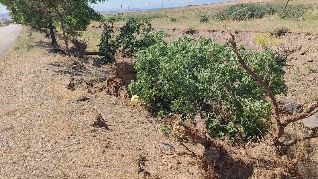 Bitlis'te toz fırtınası ağaçları söktü, çatıları uçurdu