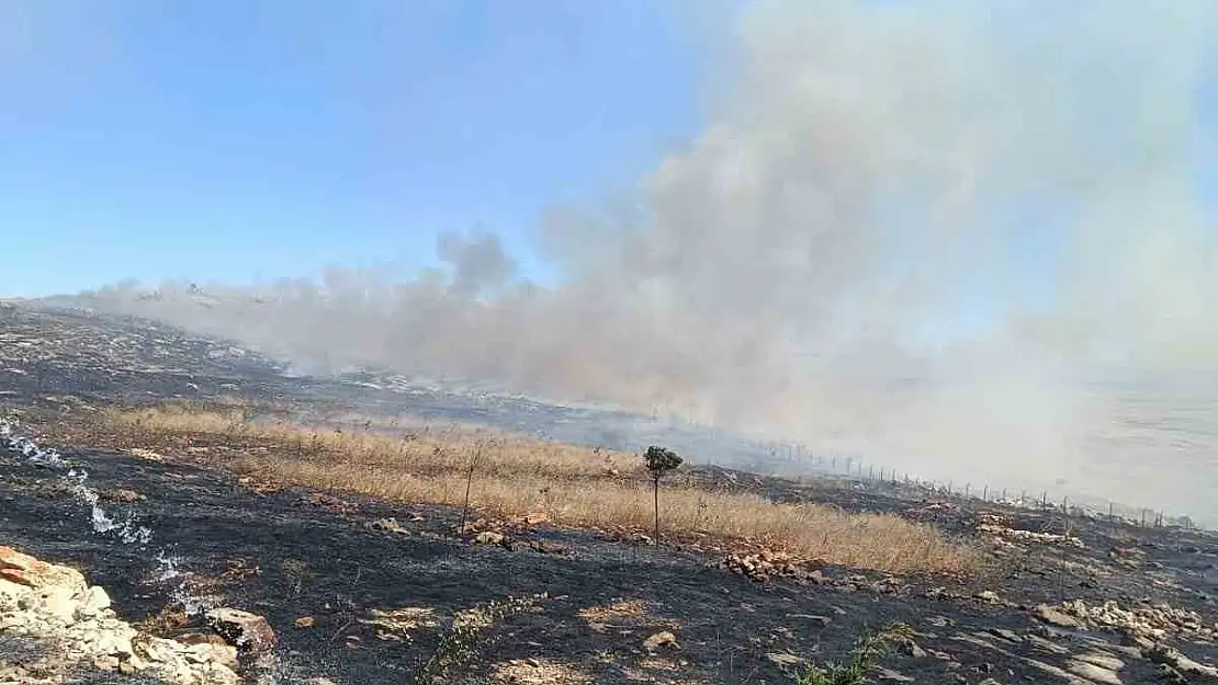 Diyarbakır'da örtü yangını