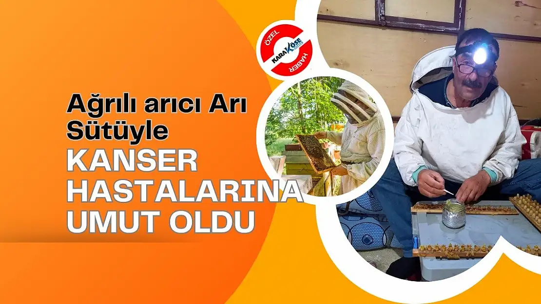 Ağrılı arıcı Arı Sütüyle Kanser hastalarına umut oldu