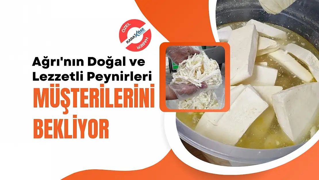 Ağrı'nın Doğal ve Lezzetli Peynirleri Müşterilerini Bekliyor