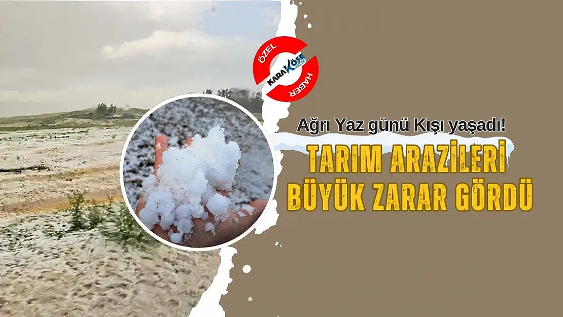 Ağrı yaz günü kışı yaşadı! Tarlalarda ki ekinler büyük zarar gördü