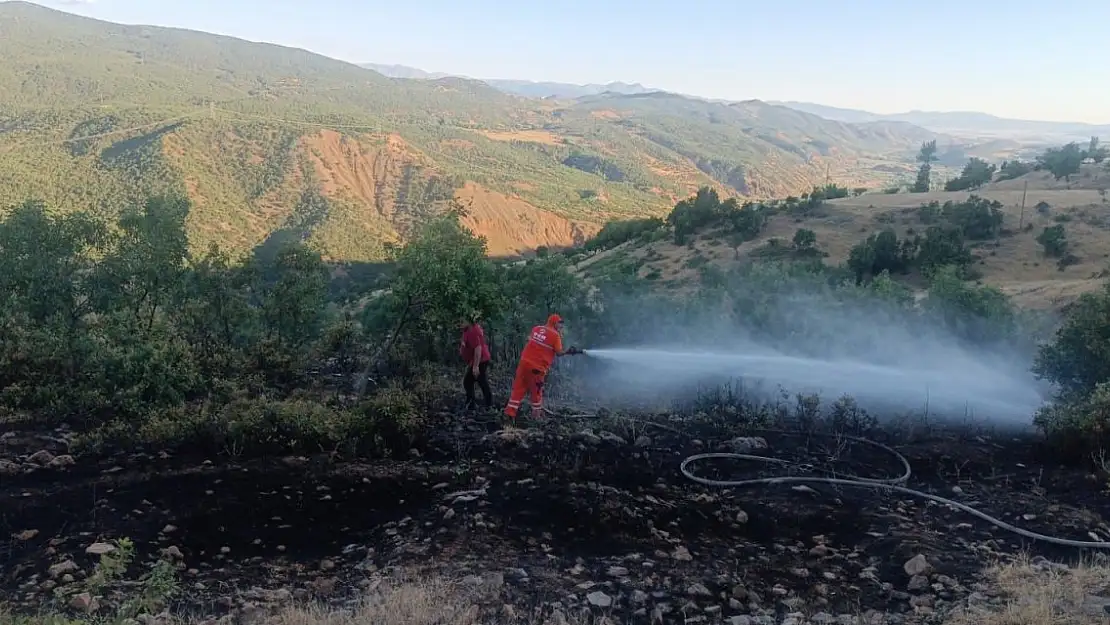 Bingöl'deki orman yangını büyümeden söndürüldü