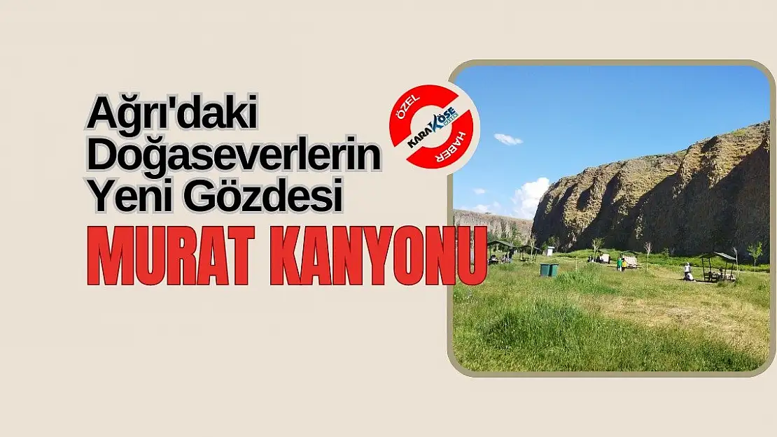 Ağrı'daki Doğaseverlerin Yeni Gözdesi: Murat Kanyonu