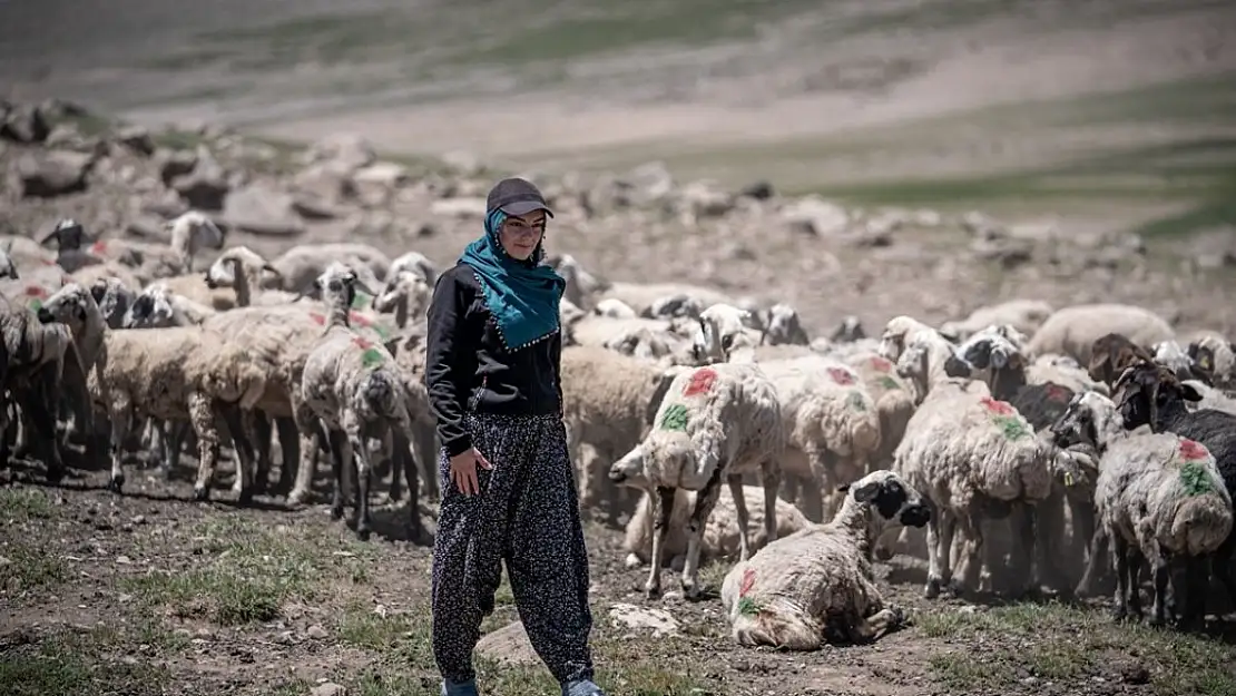 Doğduğu Erzurum yaylalarında şimdi öğretmenlik hayali kuruyor