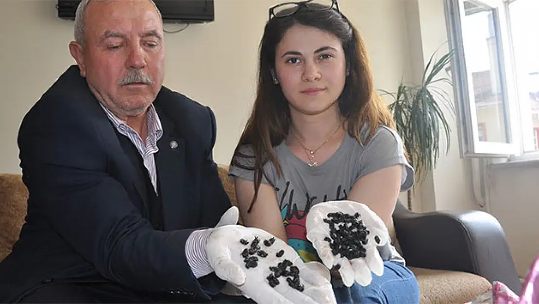 Böcekler orayı istila etti
