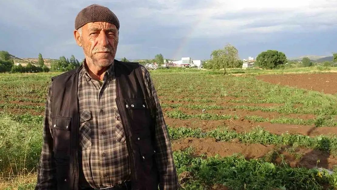 Bingöl'de bölgesel dolu yağışı sebze fidelerine zarar verdi