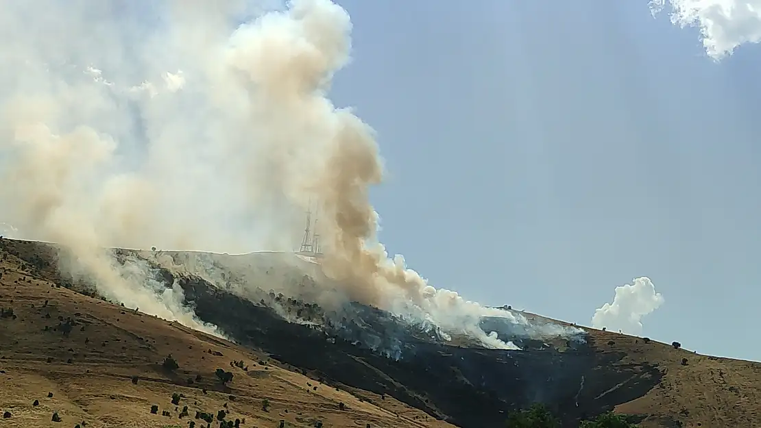 Muş'ta çıkan örtü yangını korkuttu