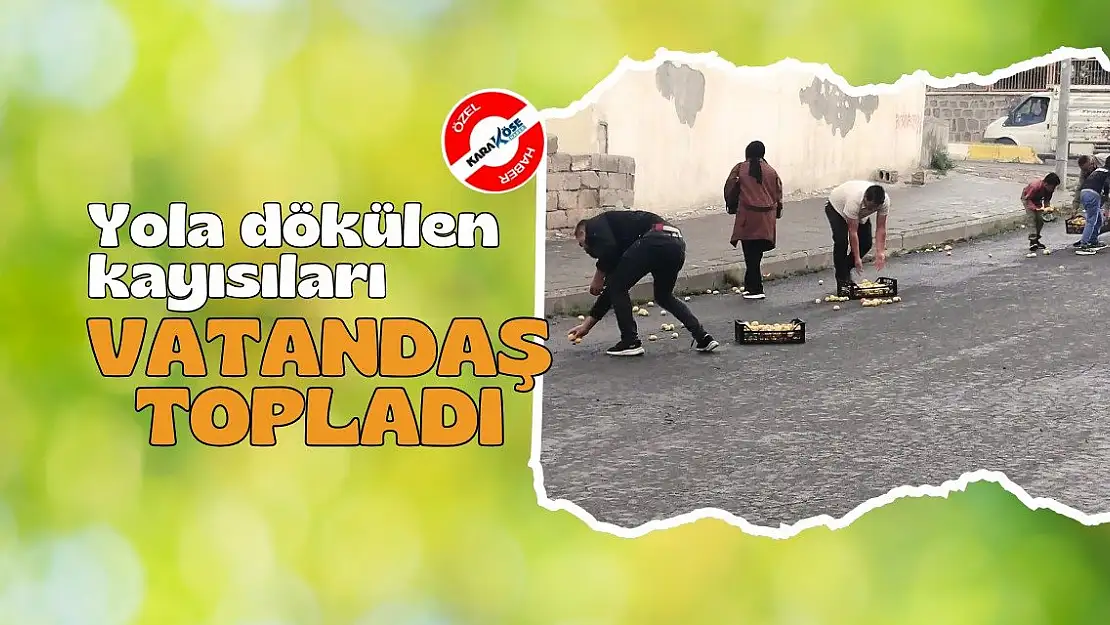 Ağrı'da Yola Dökülen Kayısıları Vatandaşlar Topladı