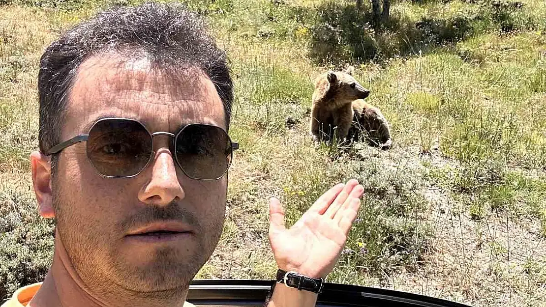 Bitlis'te ayıyı eliyle beslemek istedi, saldırıya uğradı