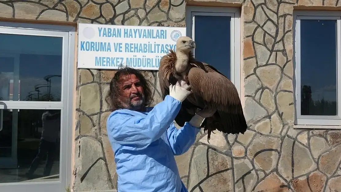 Zoonoz hastalık yaban hayvanlarından insana bulaşmaktadır