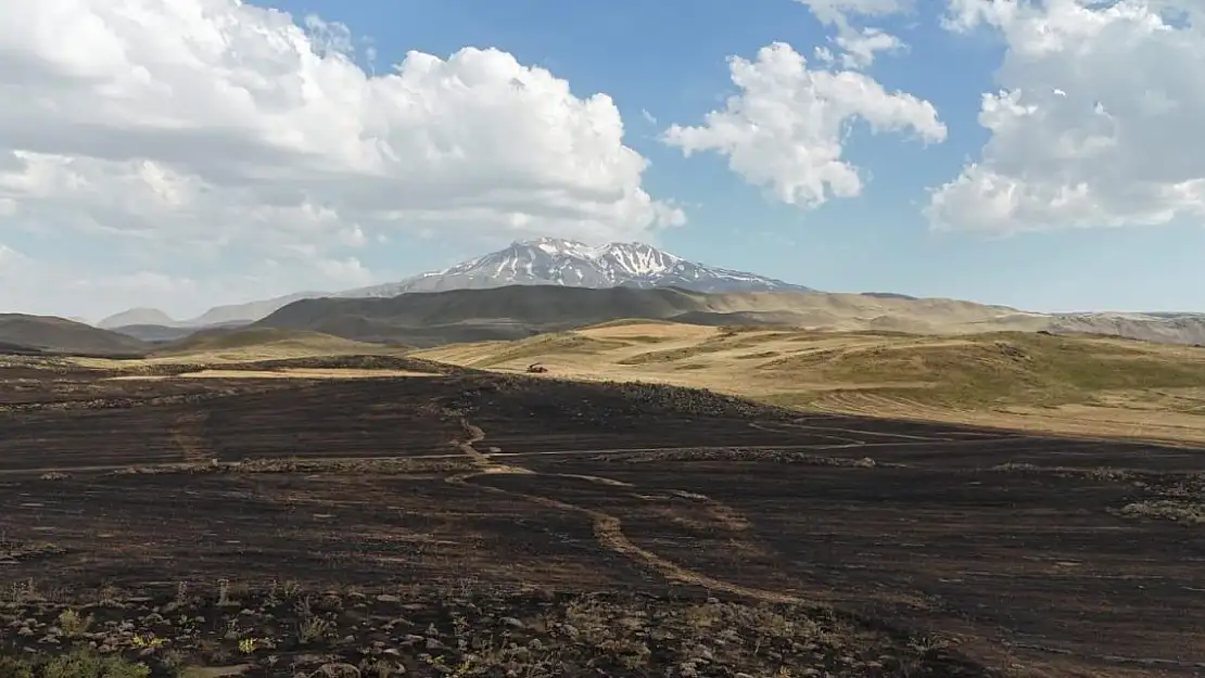 Taşlıçay'dan Patnos'a yangına müdahale için gittiler