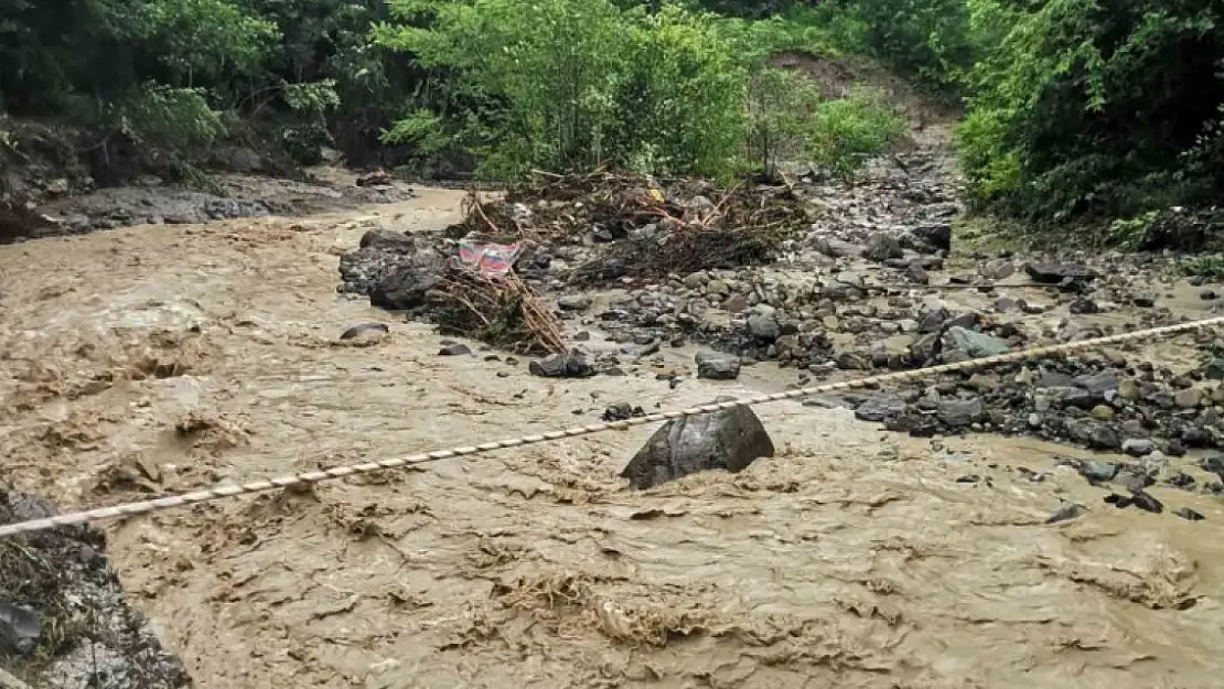 Tekman'da yağmur ve dolu etkili oldu, dereler taştı