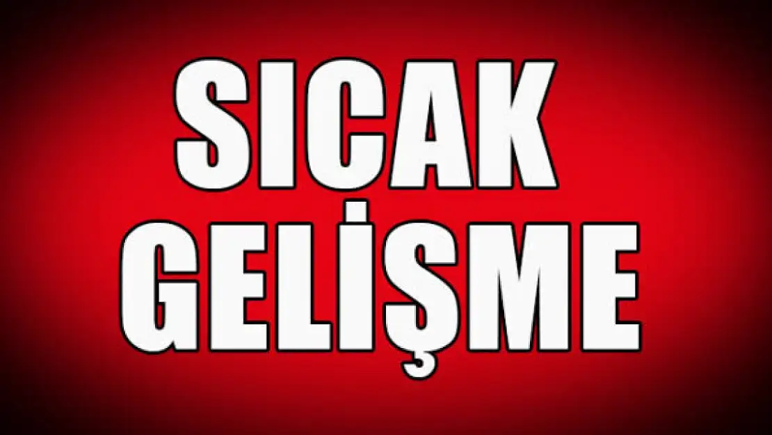 Erzurum'da domuz saldırısında yaralanan kadın hayatını kaybetti