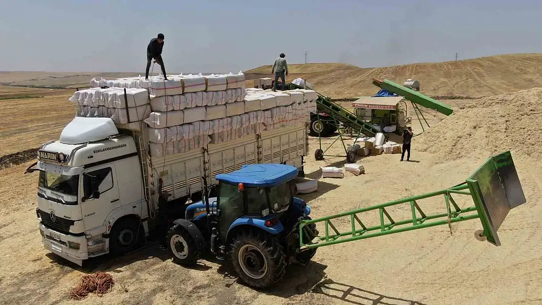 Diyarbakır'da zor şartlar altında preslenen samanlar Türkiye'nin ihtiyacını karşılıyor
