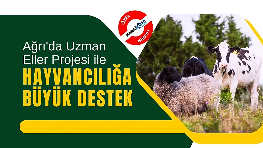 Ağrı'da Uzman Eller Projesi ile Hayvancılığa Büyük Destek