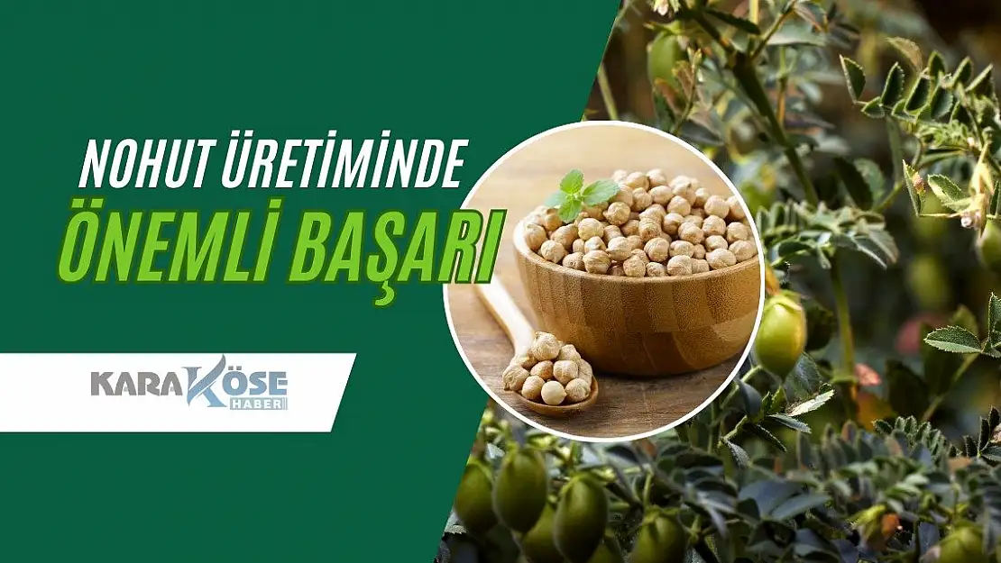 Nohut Üretiminde Önemli Başarı