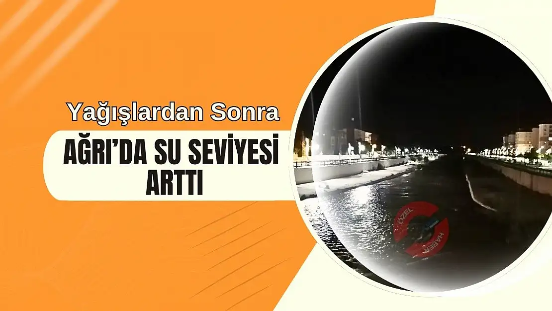 Yağışlar sonrası Ağrı'da su seviyesi yükseldi