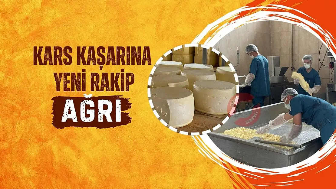 Kars Kaşarına Yeni Rakip: Ağrı