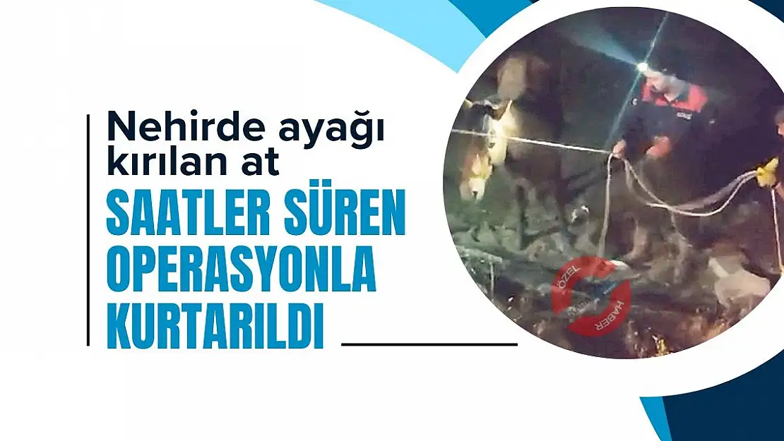 Nehirde ayağı kırılan at saatler süren operasyonla kurtarıldı