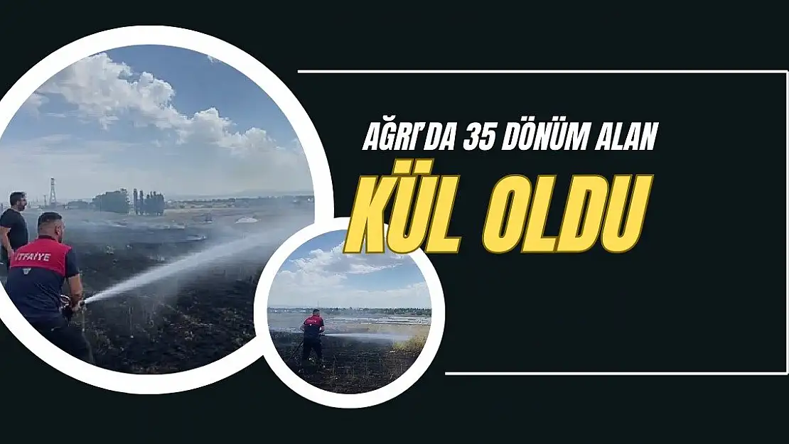 Ağrı'da 35 dönüm alan kül oldu