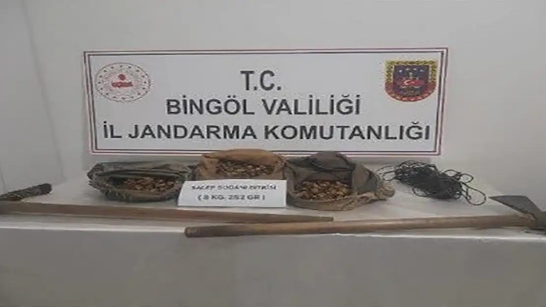 Bingöl'de salep soğanı toplayanlar yakalandı, 1 milyon 161 bin lira ceza kesildi