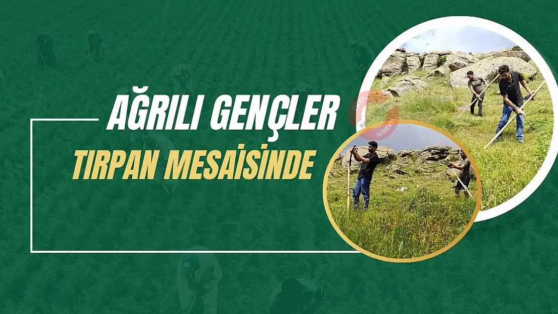 Ağrılı Gençler tırpan mesaisinde