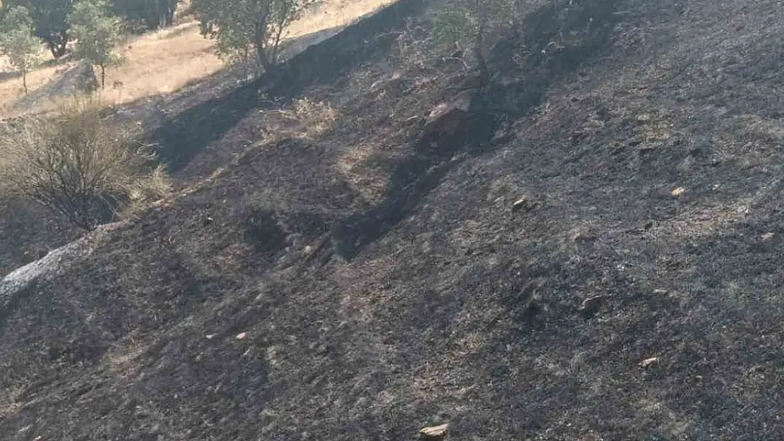 Siirt'te çıkan orman yangını kontrol altına alındı