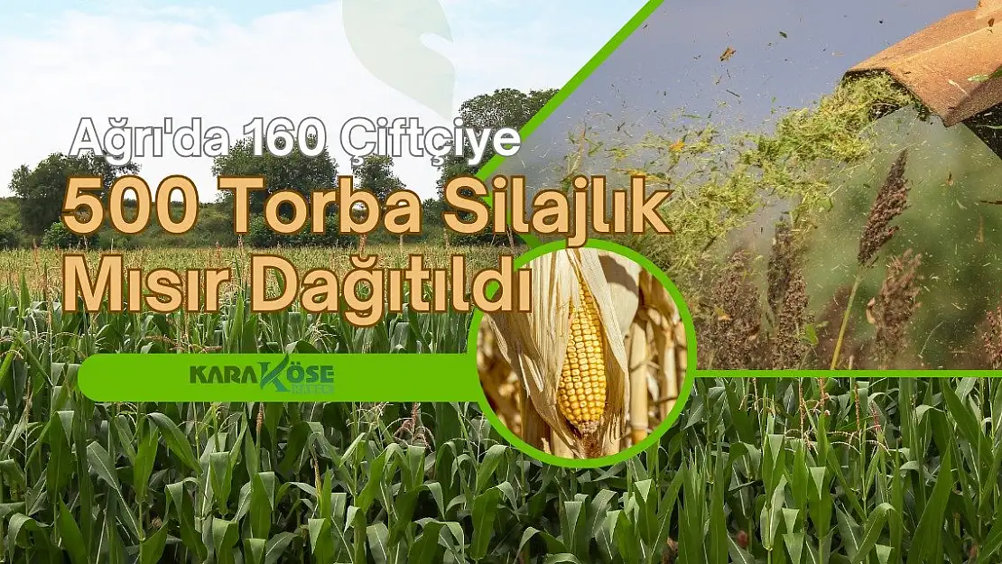 Ağrı'da 160 Çiftçiye 500 Torba Silajlık Mısır Dağıtıldı