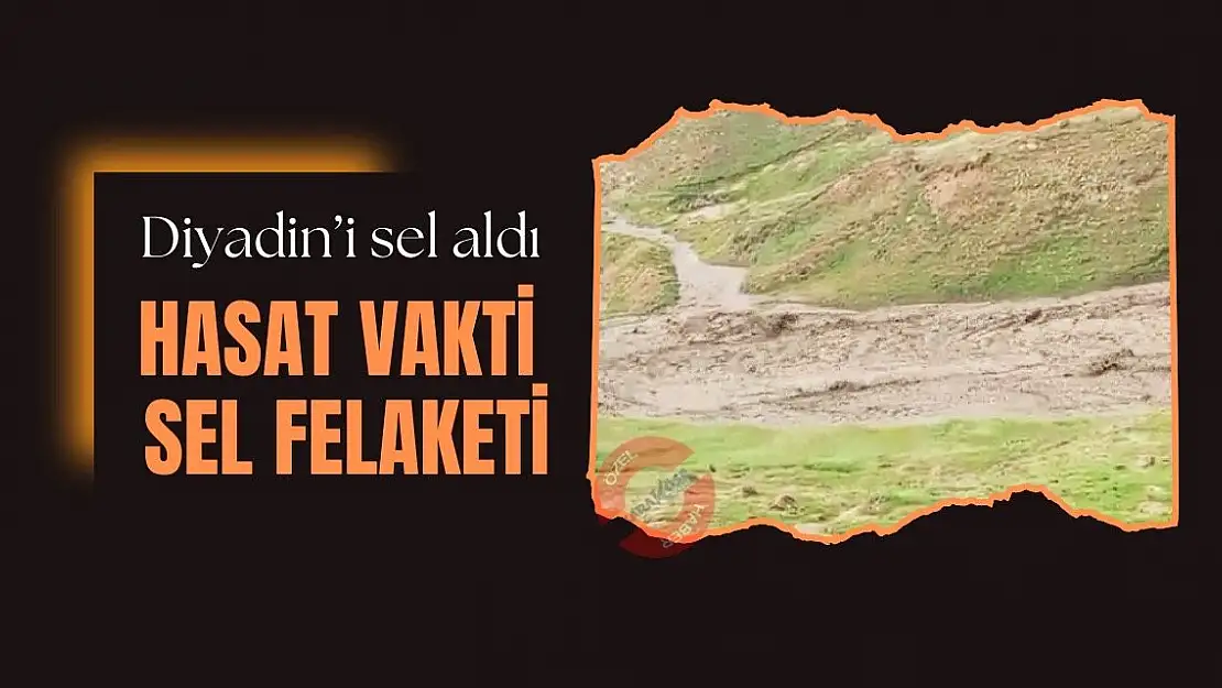 Diyadin'de sel ekili alanlara zarar verdi