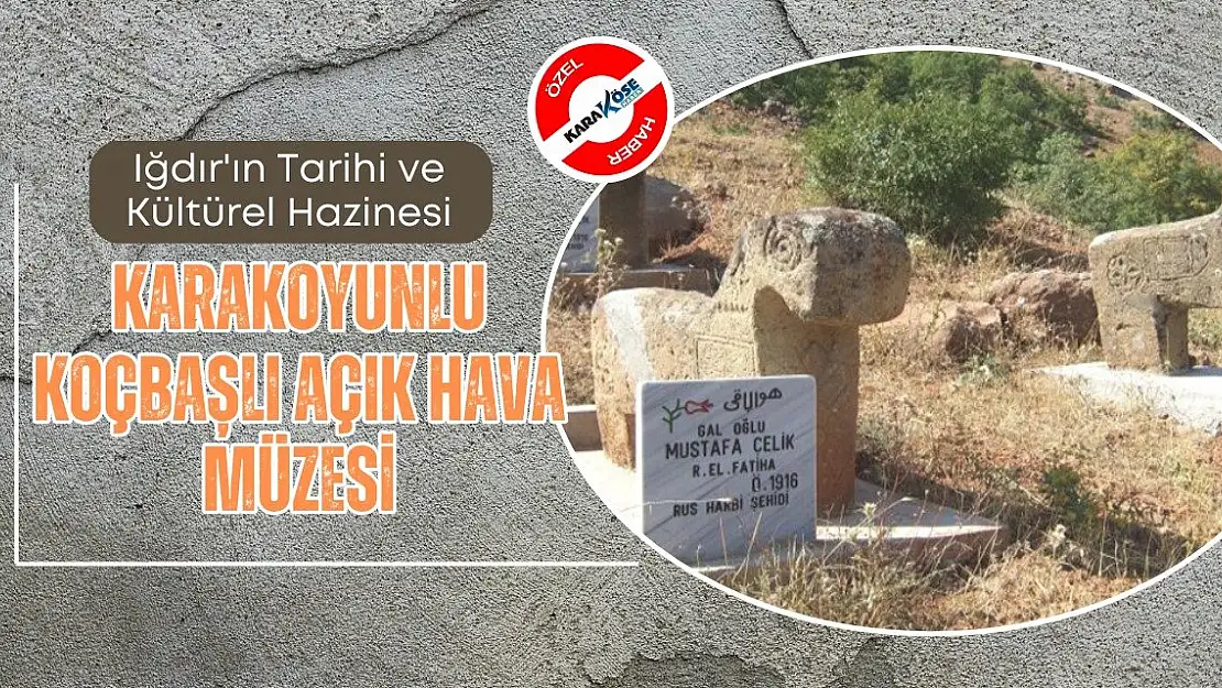 Iğdır'ın Tarihi ve Kültürel Hazinesi: Karakoyunlu Koçbaşlı Açık Hava Müzesi