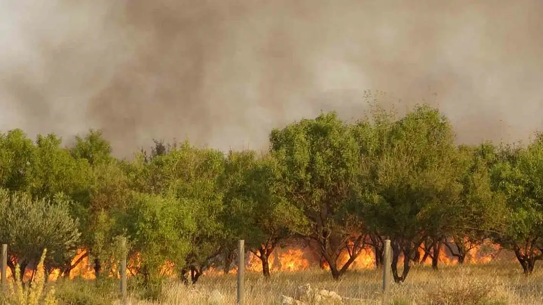 Adıyaman'daki orman yangınına müdahale sürüyor