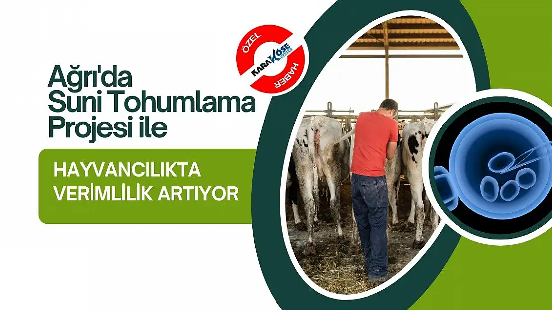Ağrı'da Suni Tohumlama Projesi ile Hayvancılıkta Verimlilik Artıyor