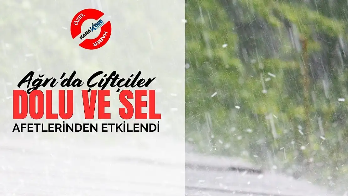 Ağrı'da Çiftçiler Dolu ve Sel Afetlerinden Etkilendi