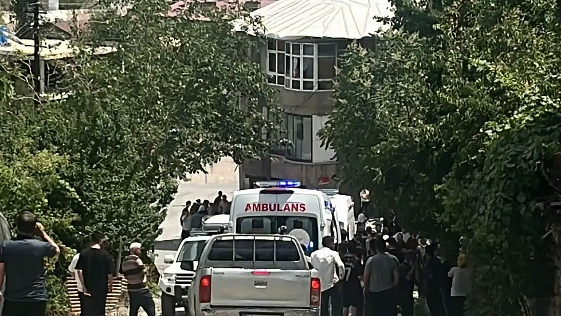 Hakkari'de cinnet geçiren genç babasını öldürdü, kardeşini yaraladı