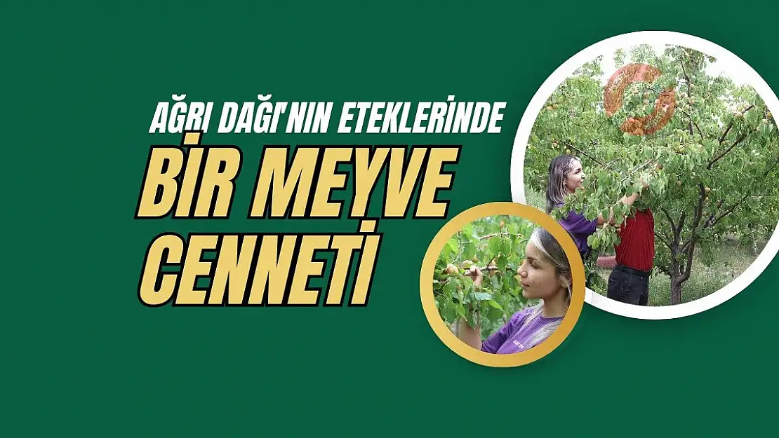 Ağrı Dağı'nın Eteklerinde Bir Meyve Cenneti