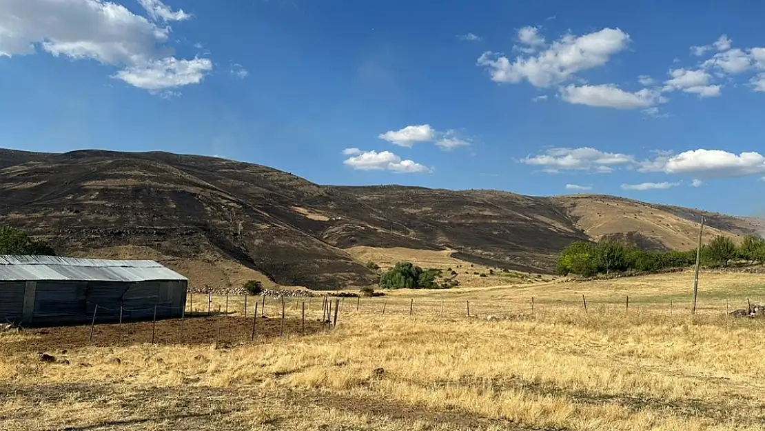 Elazığ'da otluk alanda çıkan yangın söndürüldü