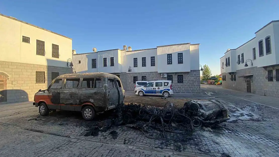 Diyarbakır'da park halindeki minibüs ve otomobil kül oldu
