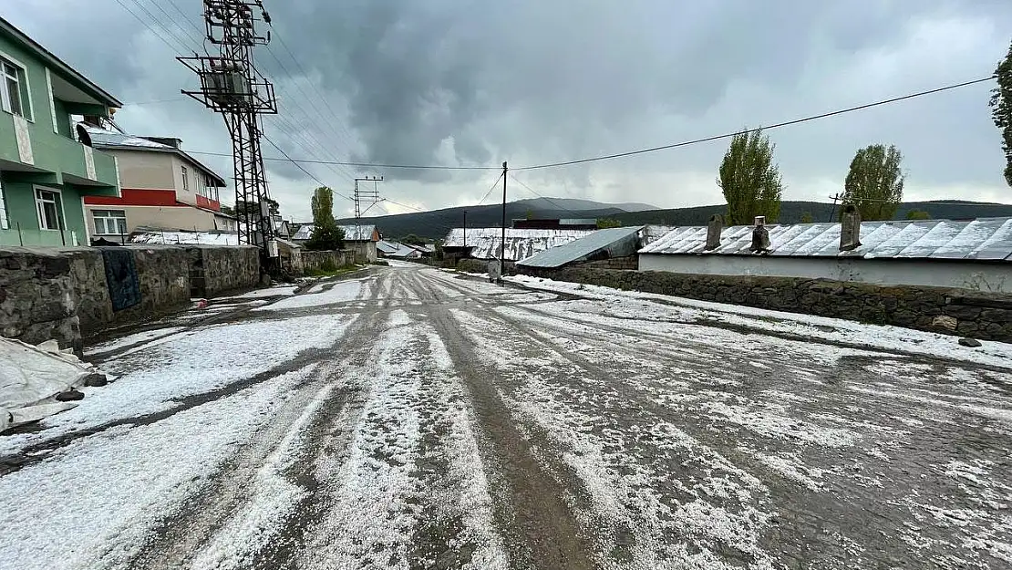Kars'ı dolu vurdu