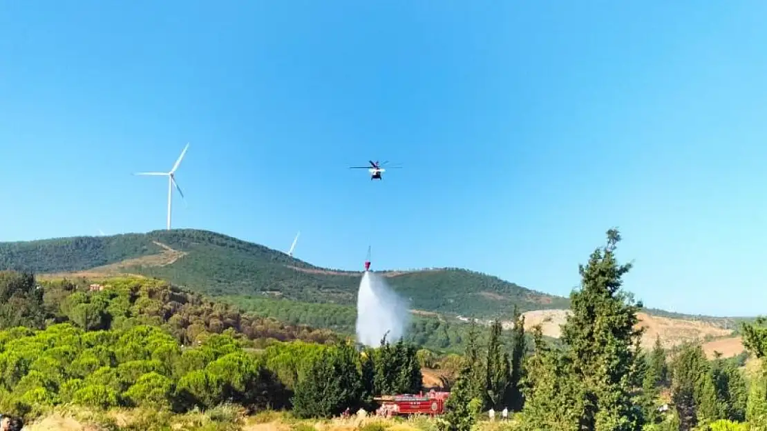 Yalova'da iki noktada çıkan yangınlar kontrol altına alındı
