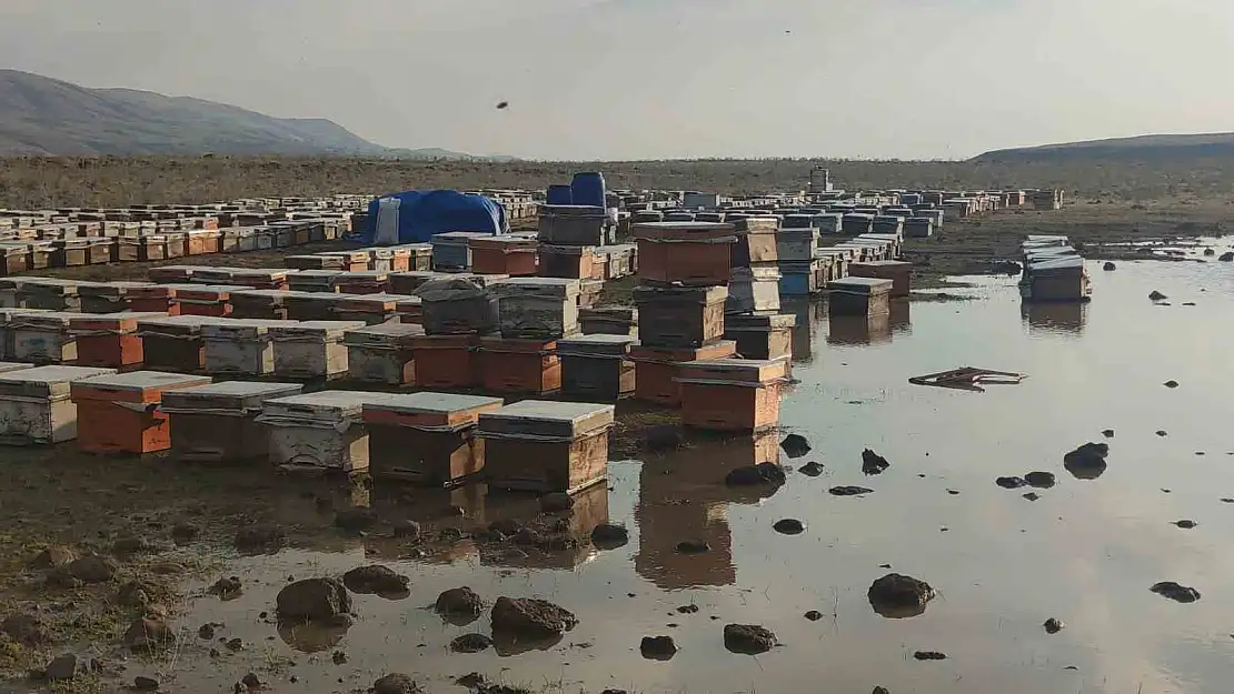 Van'da etkili olan sağanakta arı kovanları sular altında kaldı