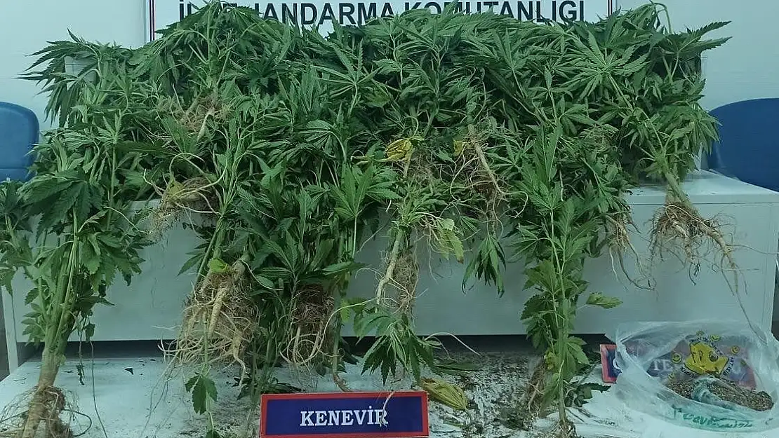 Van'da hint keneviri ele geçirildi