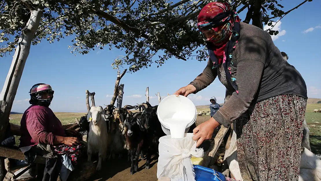 Muş'ta göçer kadınların zorlu hayatı